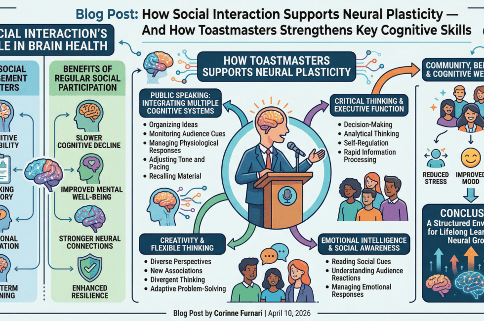 An infographic about the benefits of social interaction and Toastmasters on neural plasticity and brain health, featuring sections on cognitive flexibility, public speaking, creativity, and more.